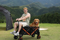 Electric Riding Wagon