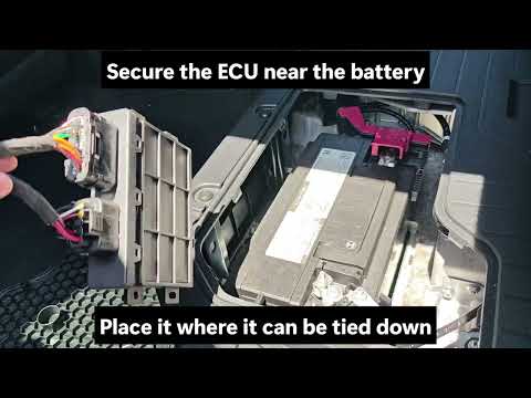 How to Locate the CAN Bus Port 2022 Toyota Tundra Gas Hybrid Power Running Board Wiring